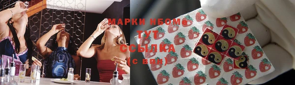 индика Бронницы