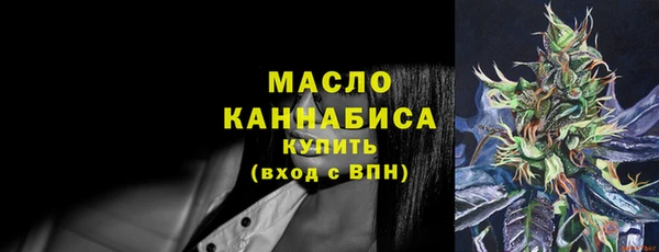 индика Бронницы
