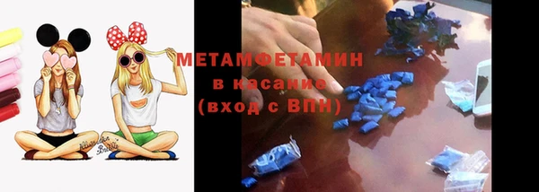 индика Бронницы