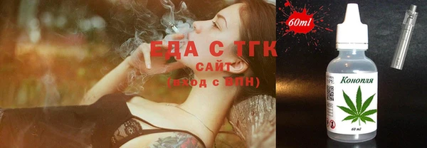 индика Бронницы