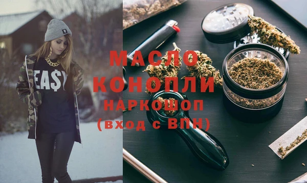 индика Бронницы