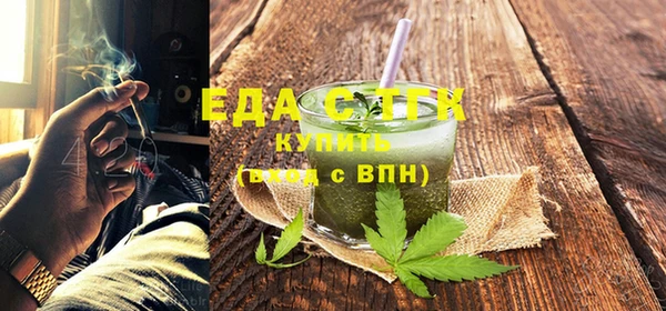 индика Бронницы