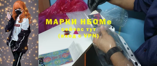 индика Бронницы