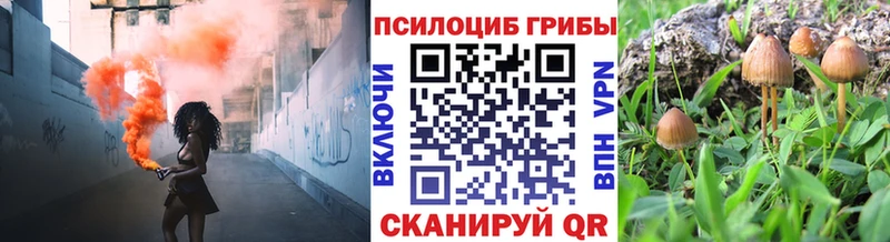 Купить где  Анапа  Псилоцибиновые грибы Magic Shrooms 